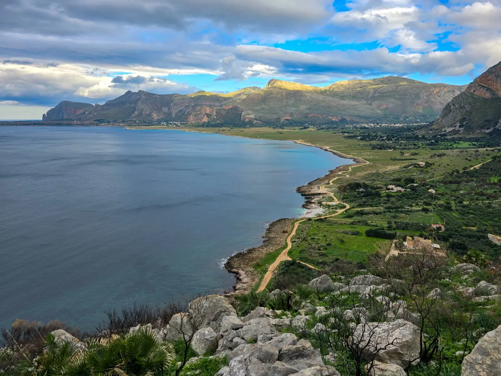 Frische Oliven und Olivenöl — authentische sizilianische Küche